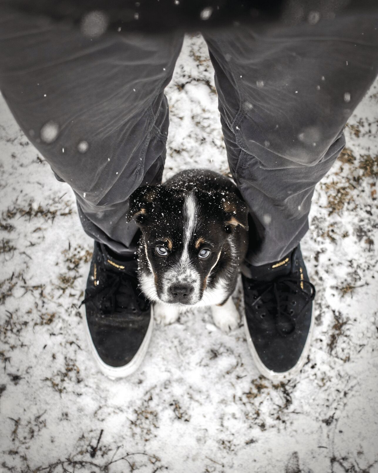 _daniel-lincoln-w9-Jt0OIPwY-unsplash_CMYK.jpg
